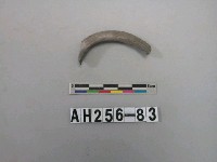 藏品(灰色泥質陶環殘件)的圖片